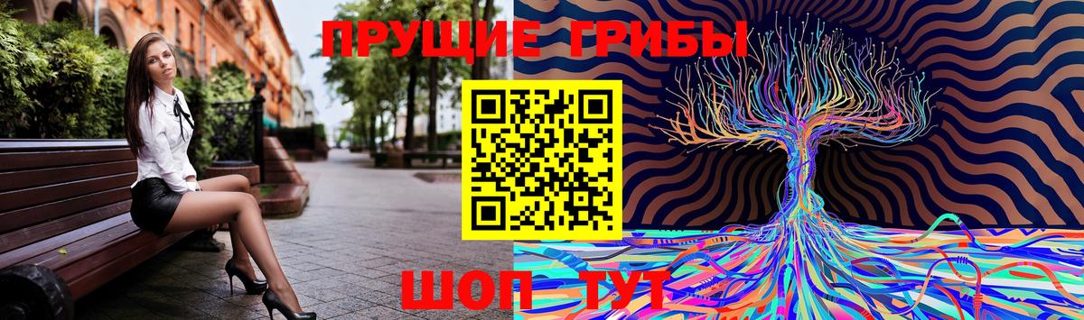 Галлюциногенные грибы Cubensis  Вход с VPN  Ижевск 